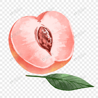91香蕉APP应用